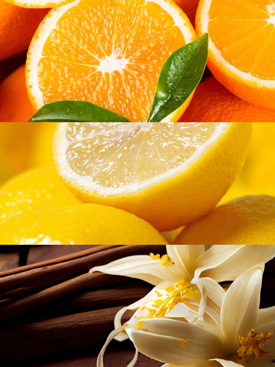 Inspired By Erba Pura by Xerjoff | Cen Eau De Parfum