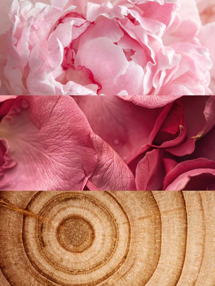 Inspired by Chloé by Chloé | Coquette Eau De Parfum