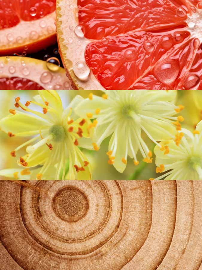 Inspired by Terre De'Hermès by Hermès | Cuero Eau De Parfum