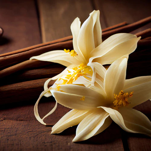Inspired By Erba Pura by Xerjoff | Cen Eau De Parfum