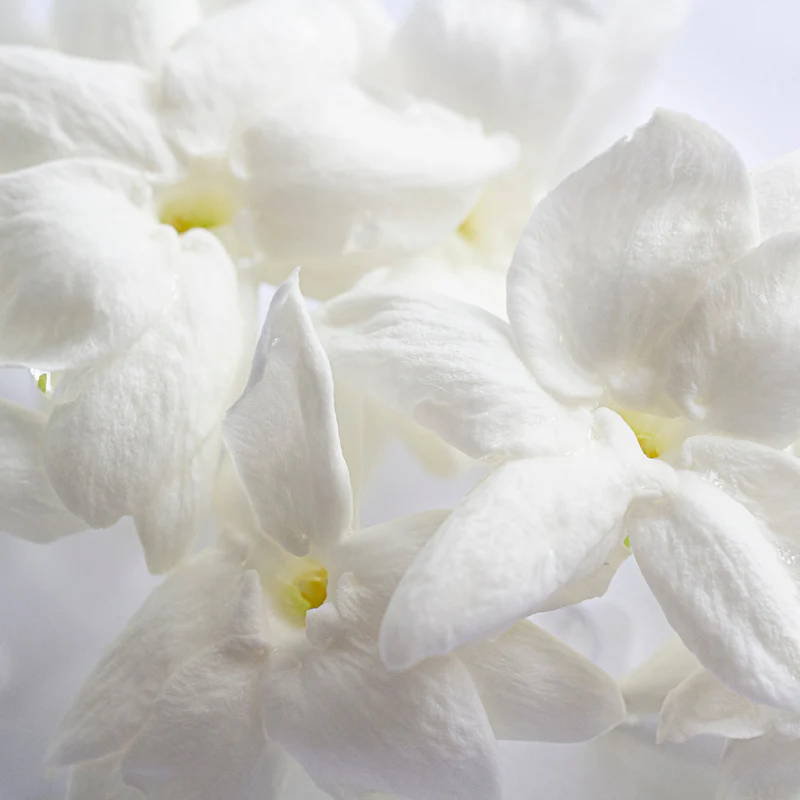 Inspired by Baccarat Rouge 540 | Purpurine Eau De Parfum