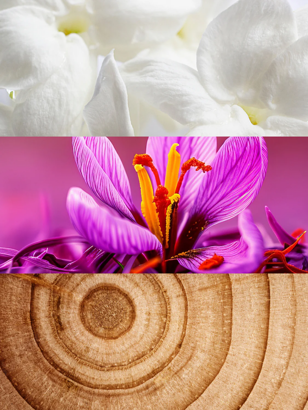 Inspired by Baccarat Rouge 540 | Purpurine Eau De Parfum