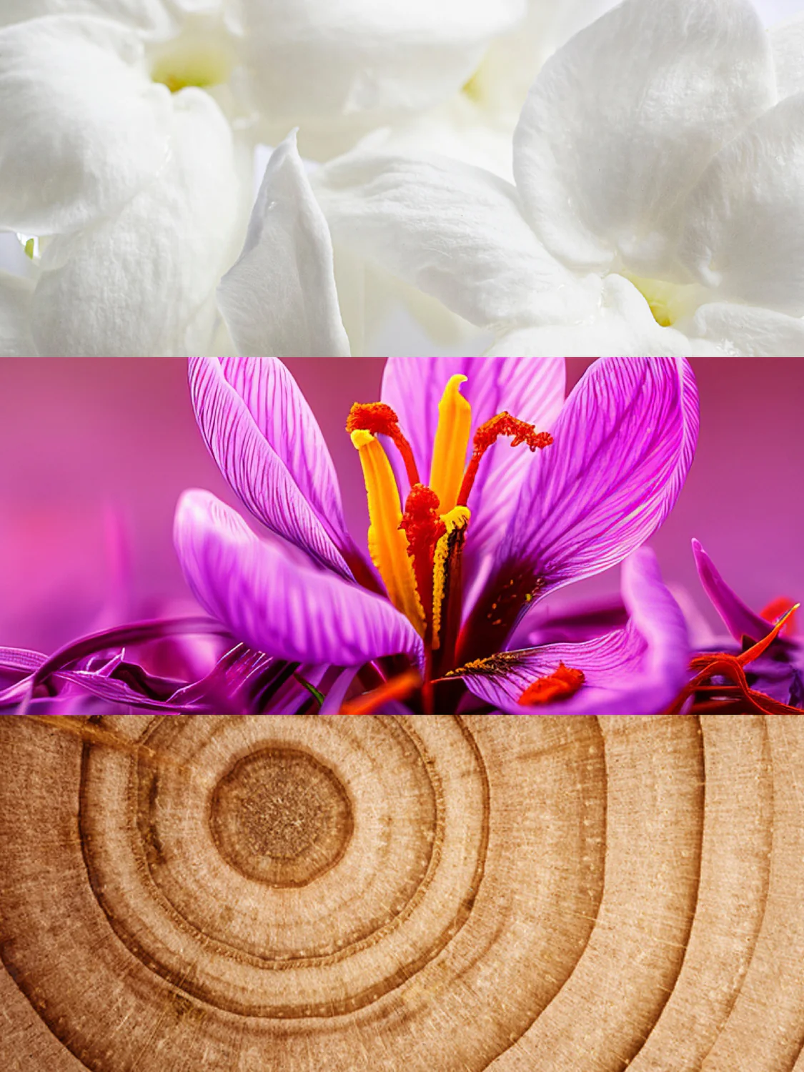 Inspired by Baccarat Rouge 540 | Purpurine Eau De Parfum